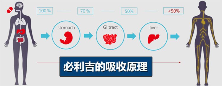 必利吉的吸收原理
